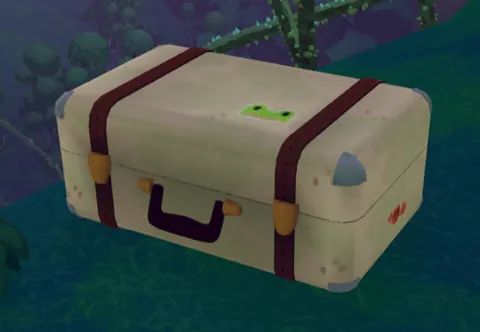 Big luggage