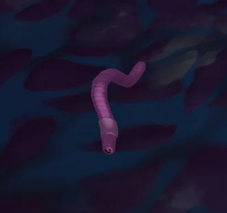 The Early Worm