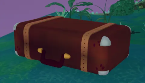 Luggage